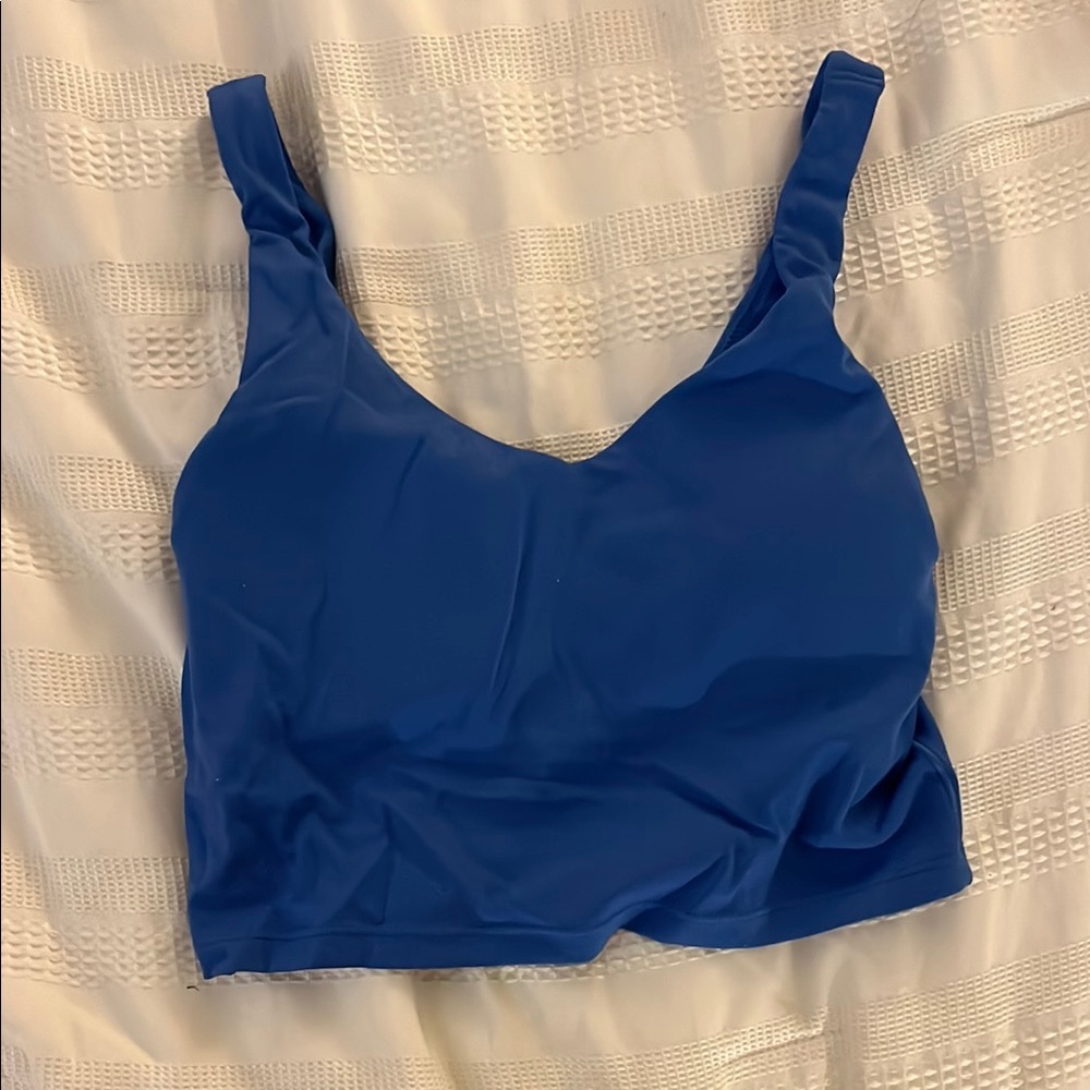 Blue Sports Bra